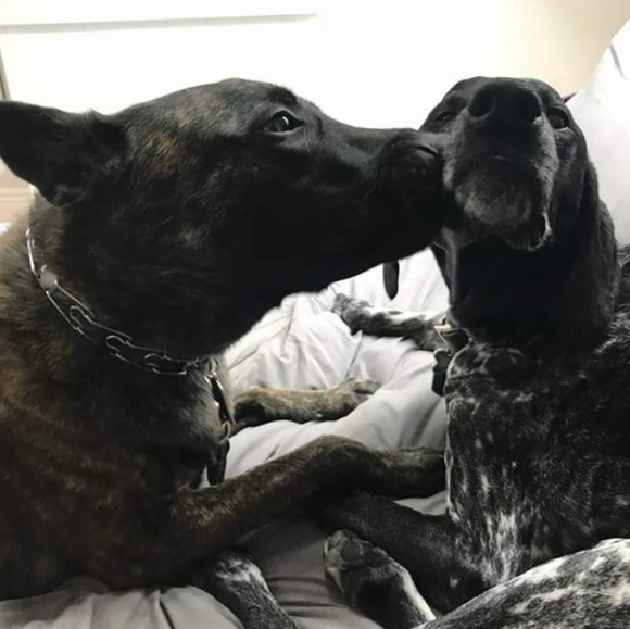 Meet your Posher, Shannon - Picture 2 of 2